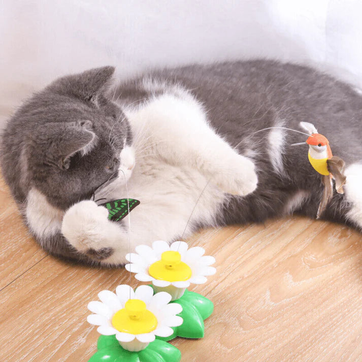 Kattaktivitetsterapi: Den ultimata leksaken för din fyrbenta vän!